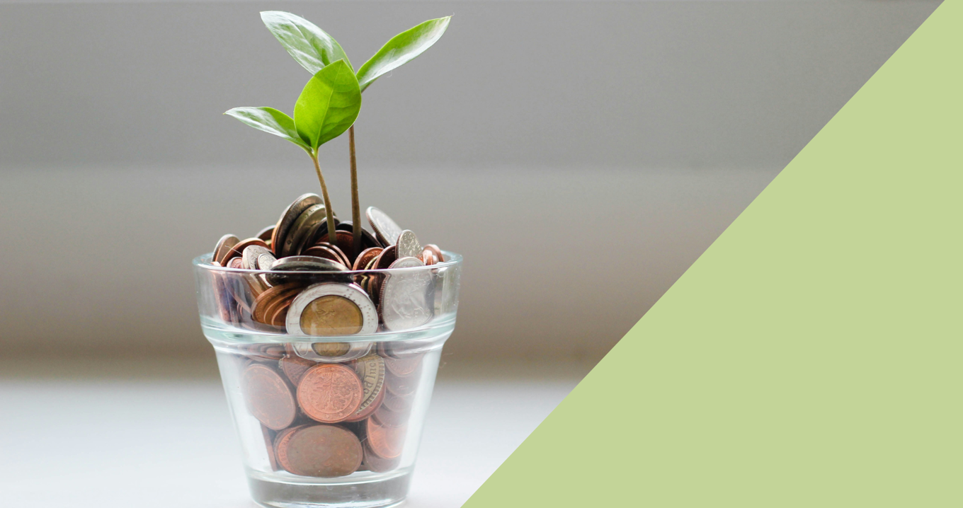 Blogg Cost Cutting Cfos