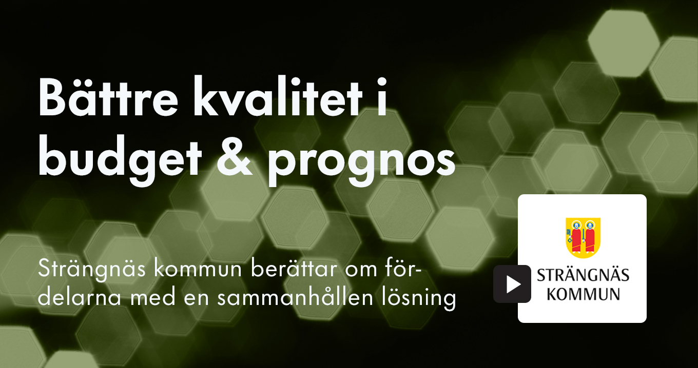 Bättre Budget- Och Prognosprocesser För Kommuner - Webinar | Hypergene